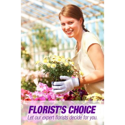 Florists Choice Mixed Bouquet 